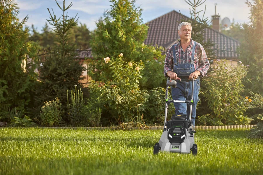 self propelled lawnmower